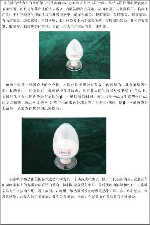 毕业实习报告6