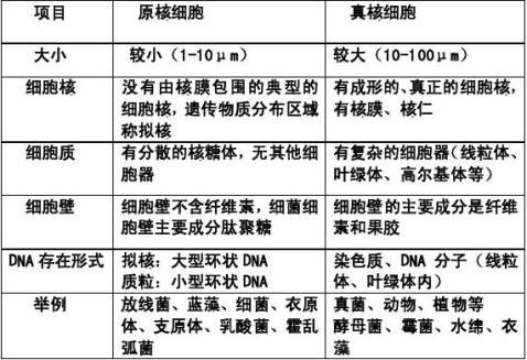 高一生物第一章总结 高一生物第一章总结精选八篇 范文118