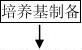 ΢ʵ鱨