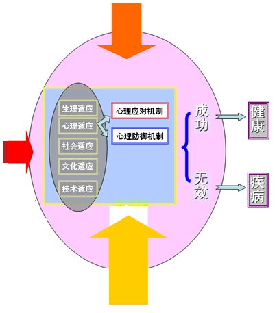 医学高校教案范例