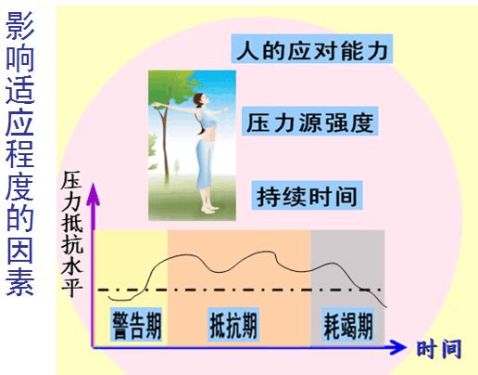 医学高校教案范例