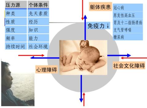 医学高校教案范例