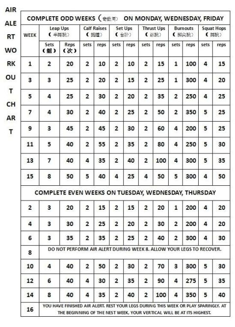 aa4弹跳训练计划及表格(4800字)