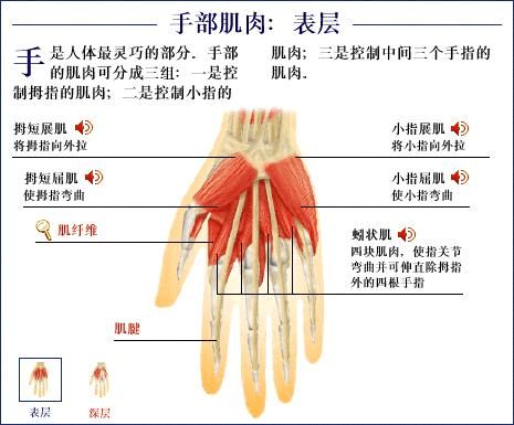 肿胀,容易使得局部的血液循环障碍,部分病人可导致远端肢体或组织坏死