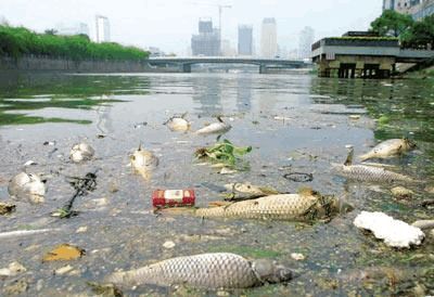 使河流污染更加严重,不时发出阵阵恶臭,有些河流水生植物大量死亡
